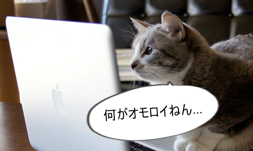 YouTuberを見て何が面白いかわからない猫